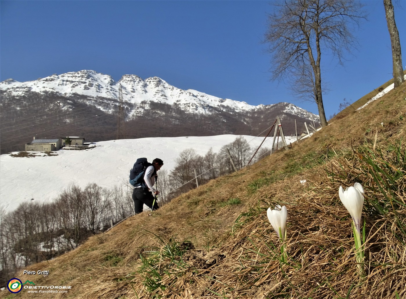 14 Primi crocus con vista in Resegone innevato.JPG